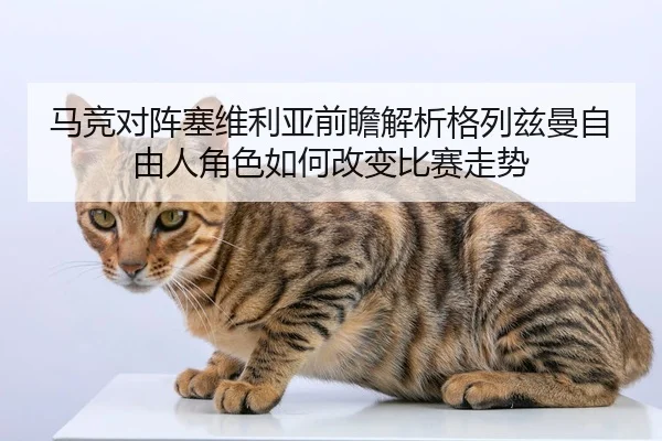 马竞对阵塞维利亚前瞻解析格列兹曼自由人角色如何改变比赛走势 | kaiyun