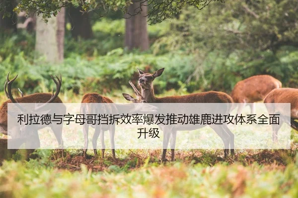 利拉德与字母哥挡拆效率爆发推动雄鹿进攻体系全面升级（kaiyun）